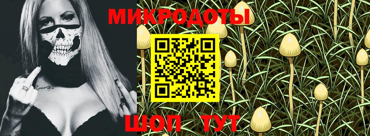 Изобильный  Галлюциногенные грибы Cubensis  Псилоцибиновые грибы Cubensis  Вход с VPN 